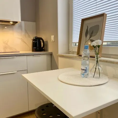 公寓 Enes Legnicka Street A 弗罗茨瓦夫